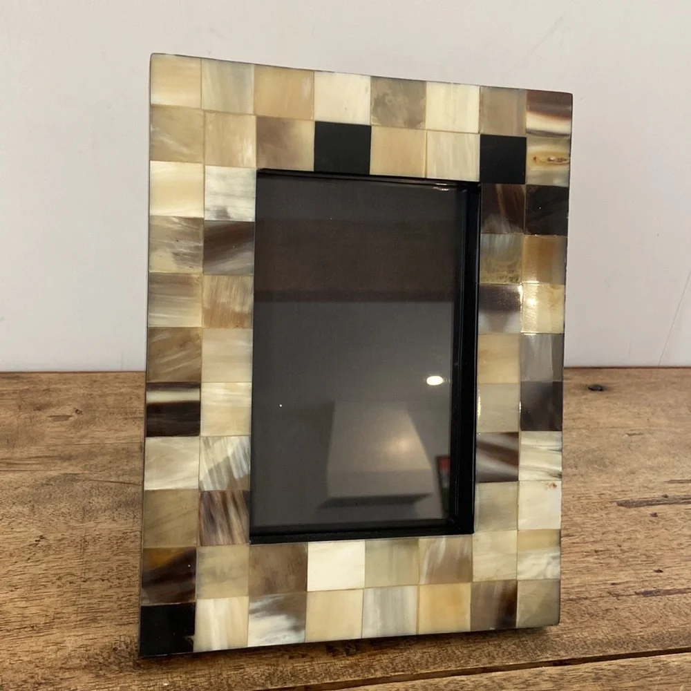 Z Gallerie Horn and Bone Picture Frame